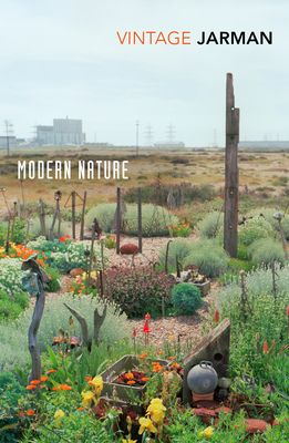 Modern nature : the journals of Derek Jarman, 1989-1990
