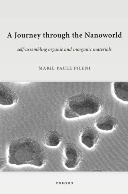 A Journey through the Nanoworld : Self-Assembling Organic and Inorganic Materials