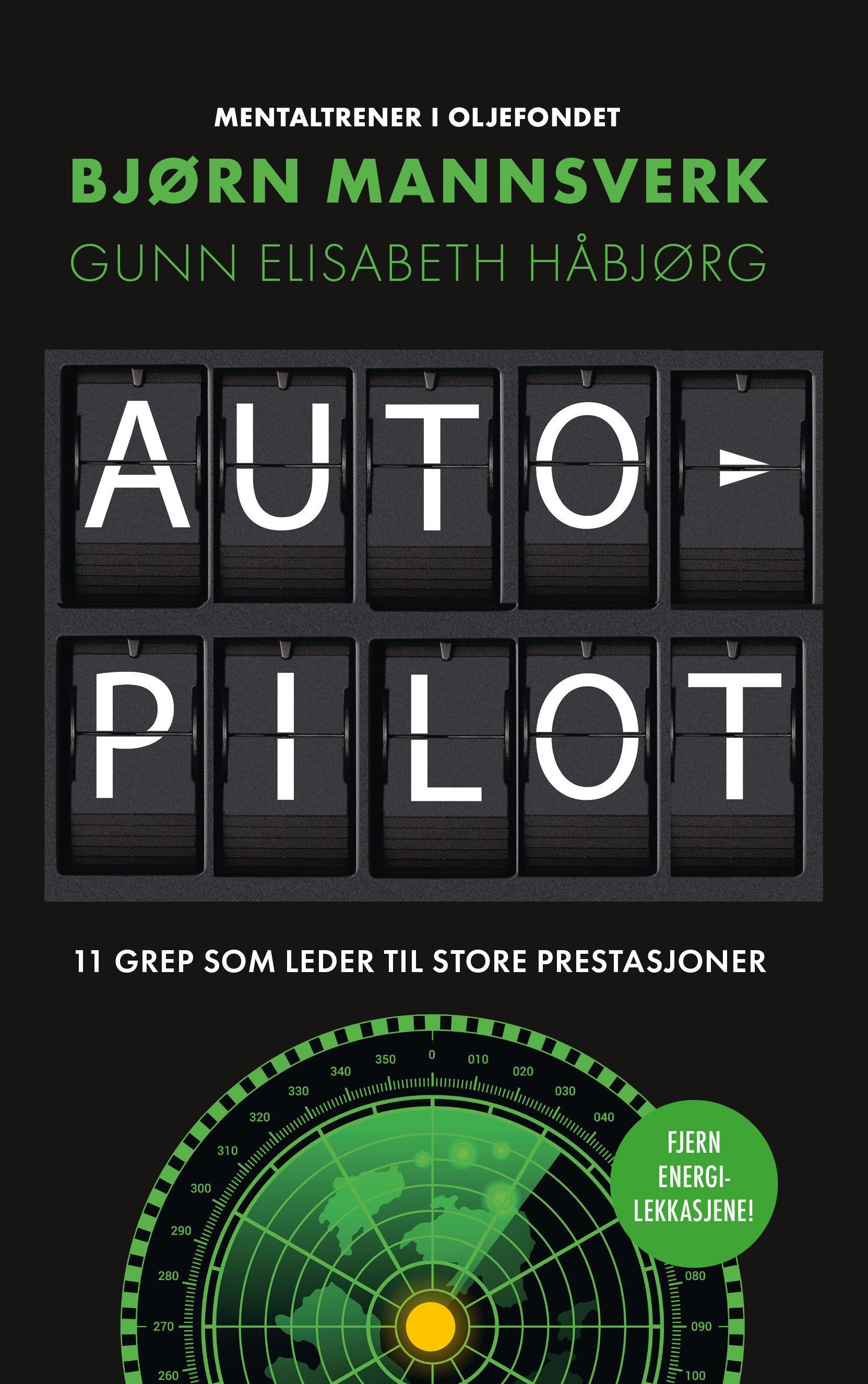 Autopilot : 11 grep som leder til store prestasjoner