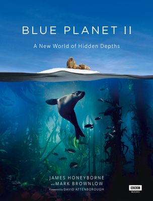 Blue Planet II