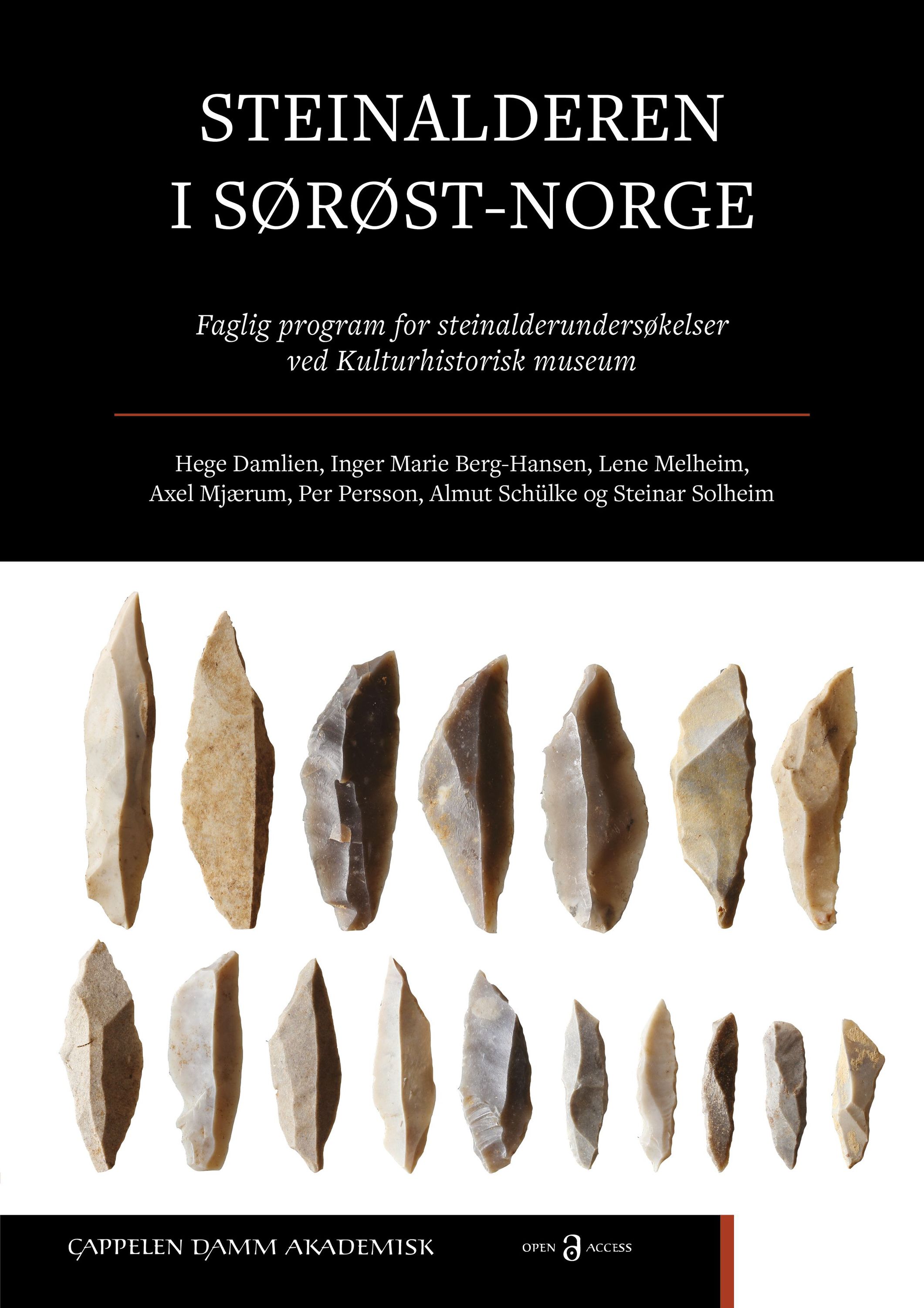 Steinalderen i Sørøst-Norge : faglig program for steinalderundersøkelser ved Kulturhistorisk museum