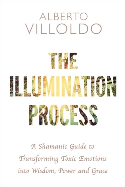 The Illumination Process : A Shamanic Guide to Transforming Toxic Emotions into Wisdom, Power, and Grace