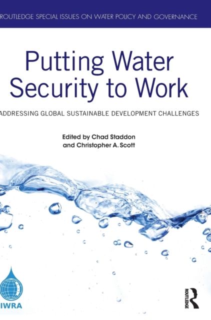 Putting Water Security to Work : Addressing Global Sustainable Development Challenges