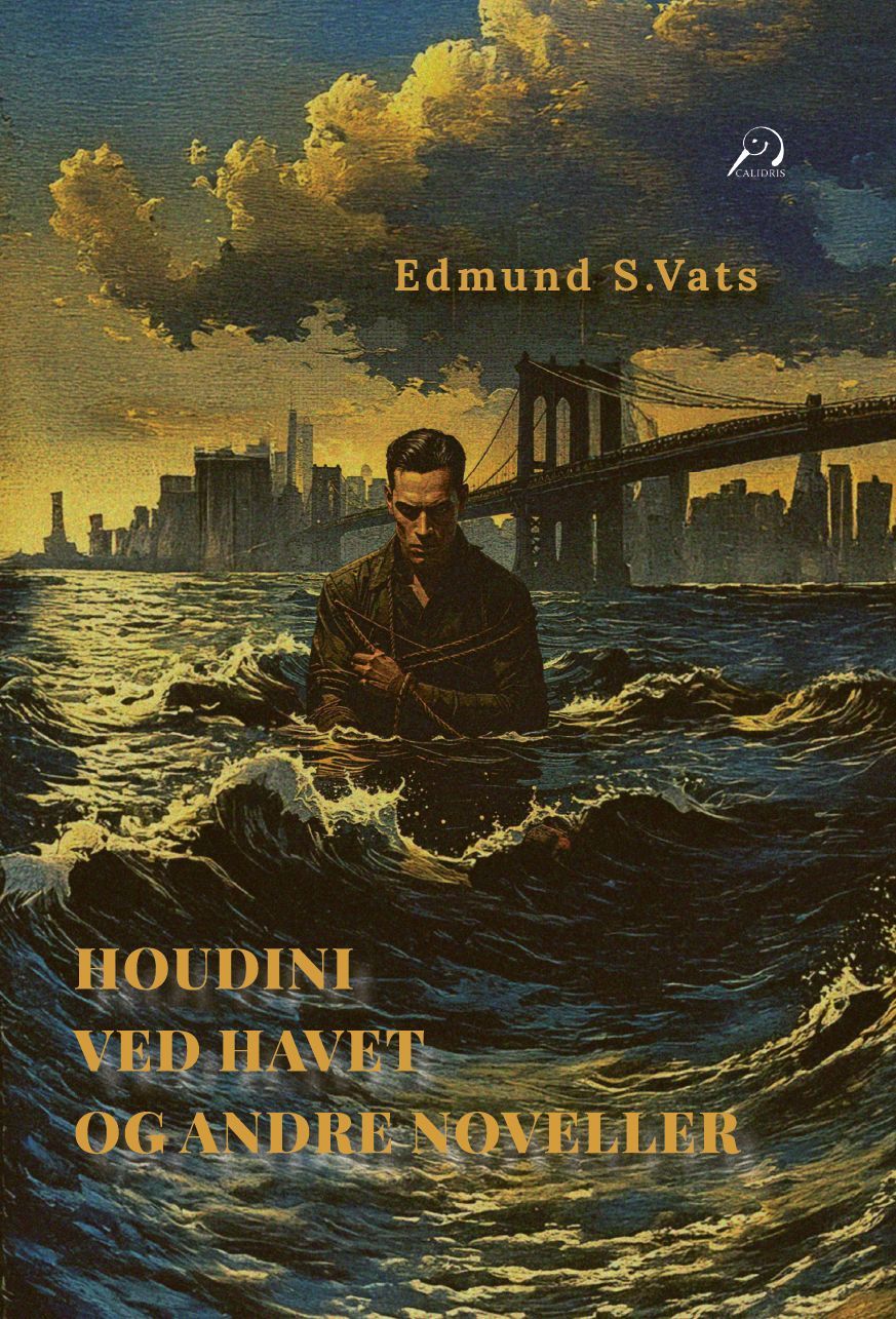 Forsidebilde av Houdini ved havet og andre noveller