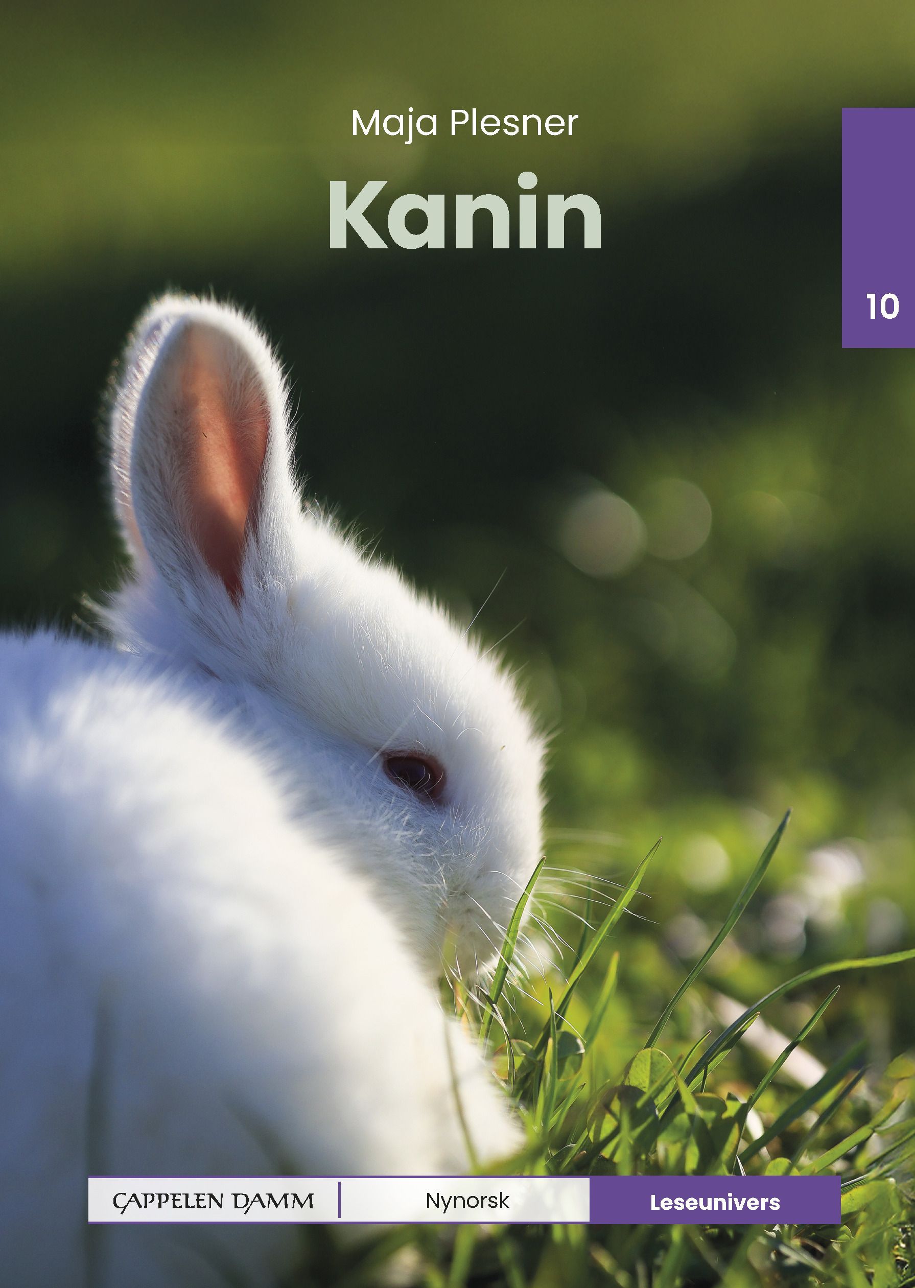 Kanin : nivå 10