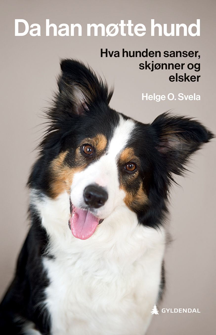 Da han møtte hund : hva hunden sanser, skjønner og elsker