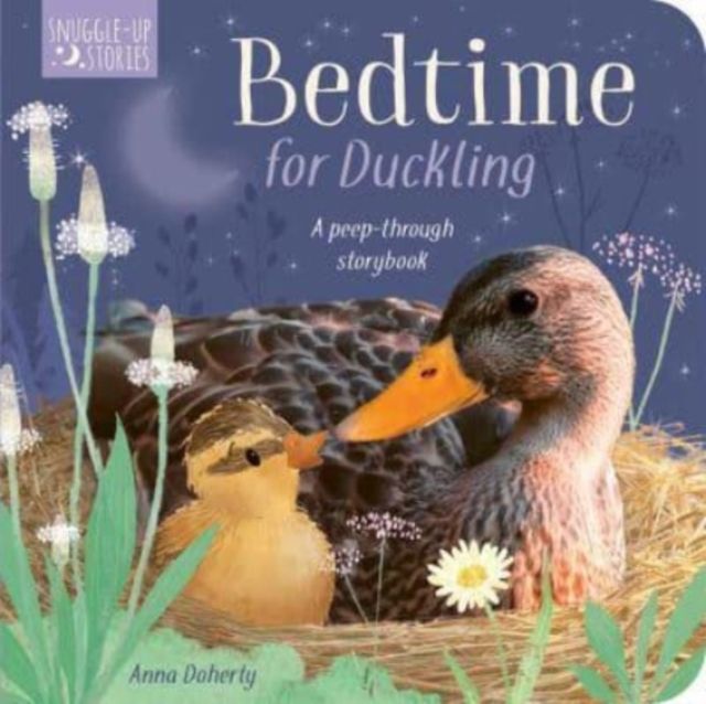 Bedtime for Duckling : A peek-through storybook