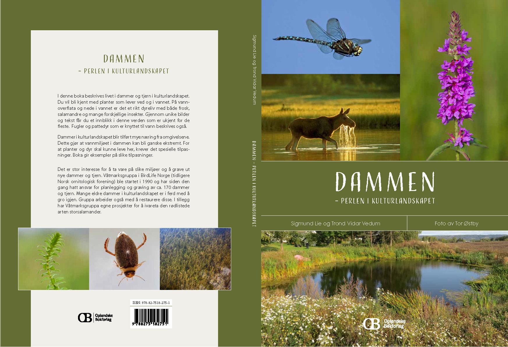 Dammen : perlen i kulturlandskapet