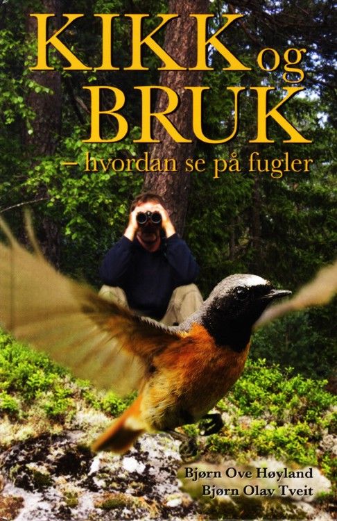 Kikk og bruk : hvordan se på fugler
