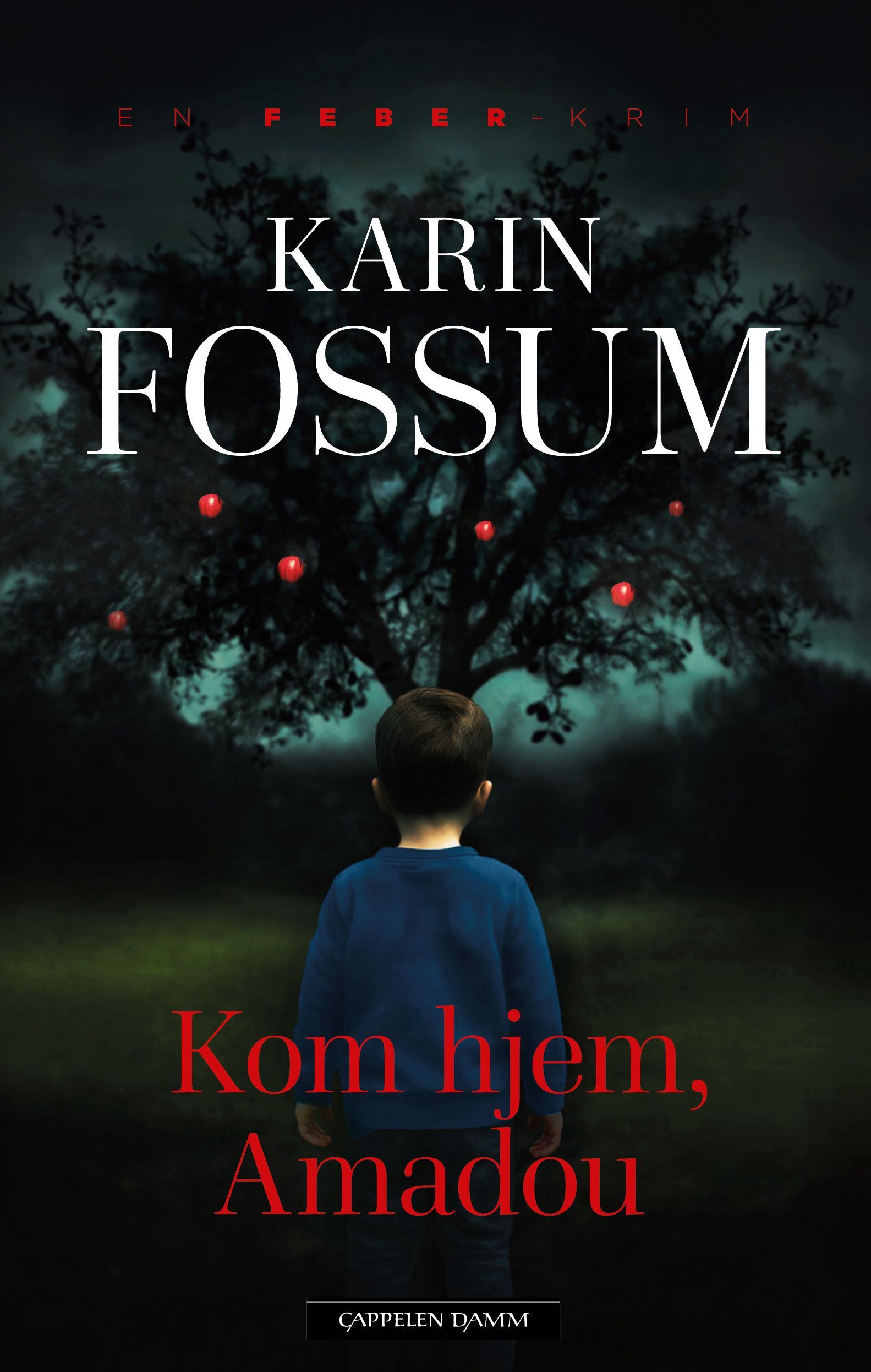 Kom hjem, Amadou