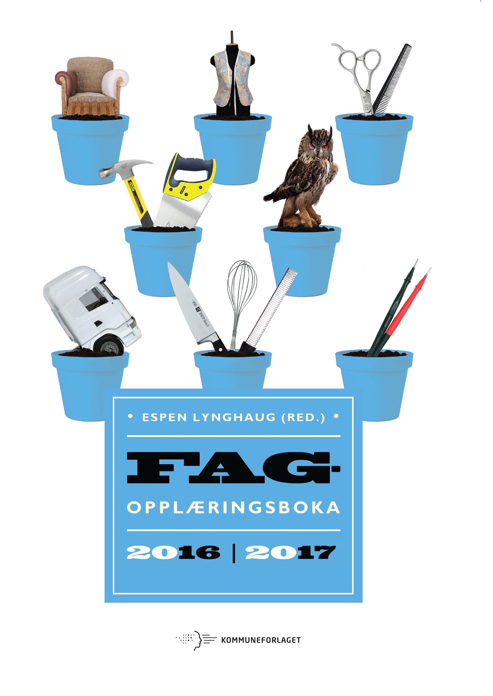 Forsidebilde av Fagopplæringsboka 2016-2017