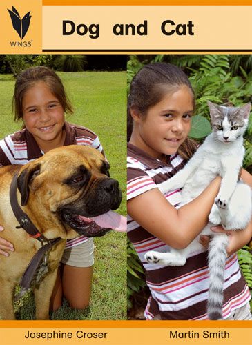 Dog and cat
