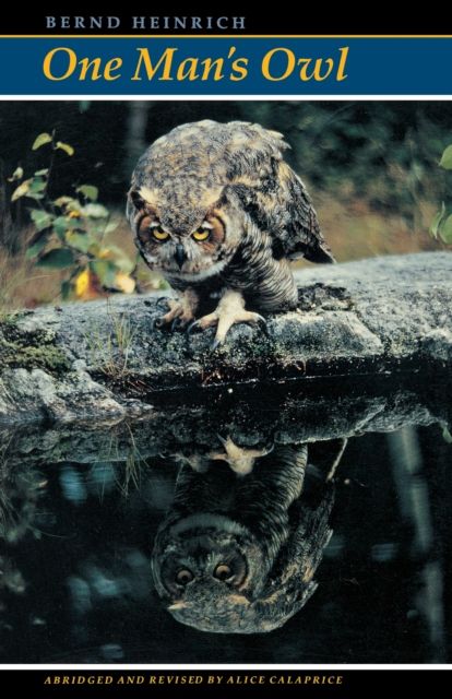 One Man's Owl : Abridged Edition