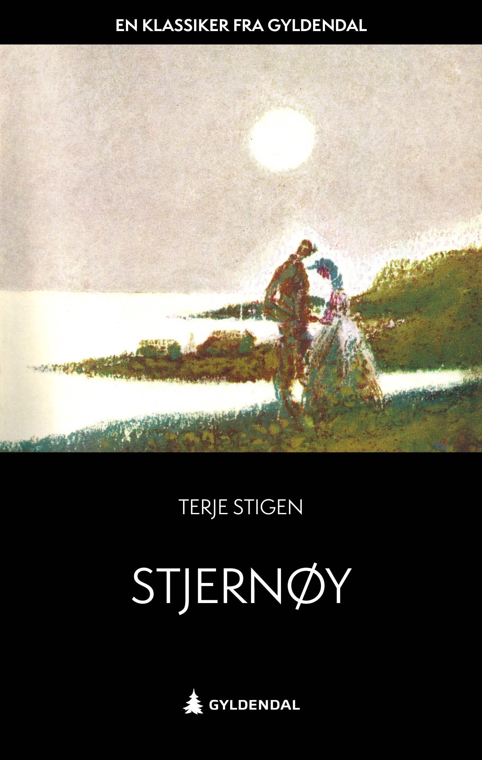 Stjernøy : roman