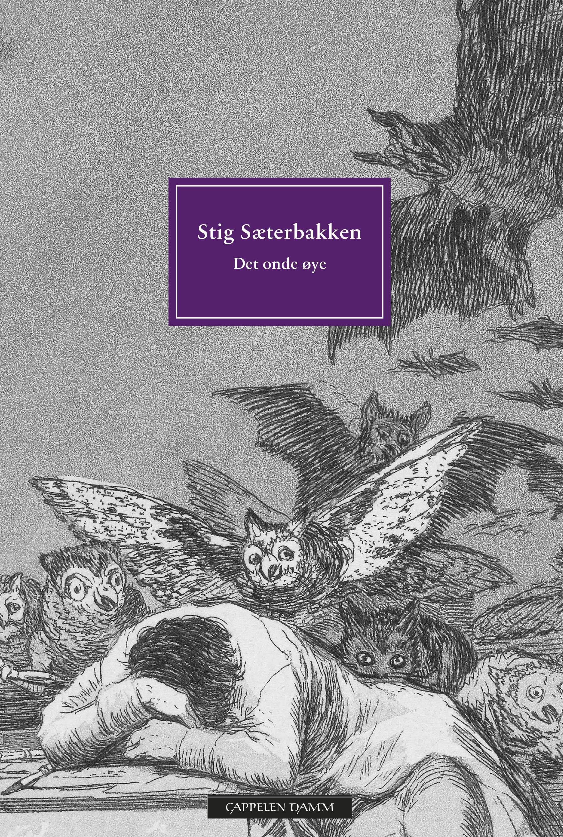 Det onde øye : essays
