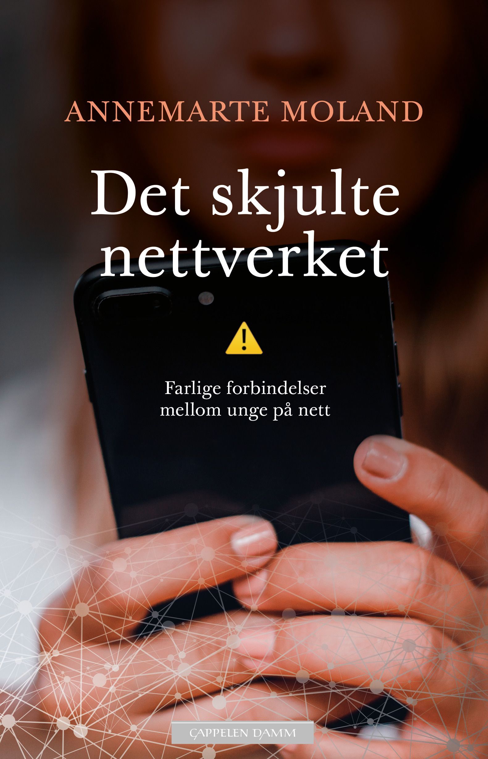 Det skjulte nettverket : farlige forbindelser mellom unge på nett