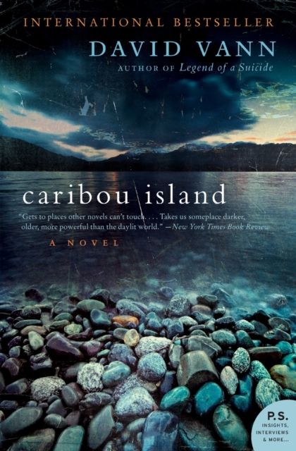 Forsidebilde av Caribou Island : A Novel