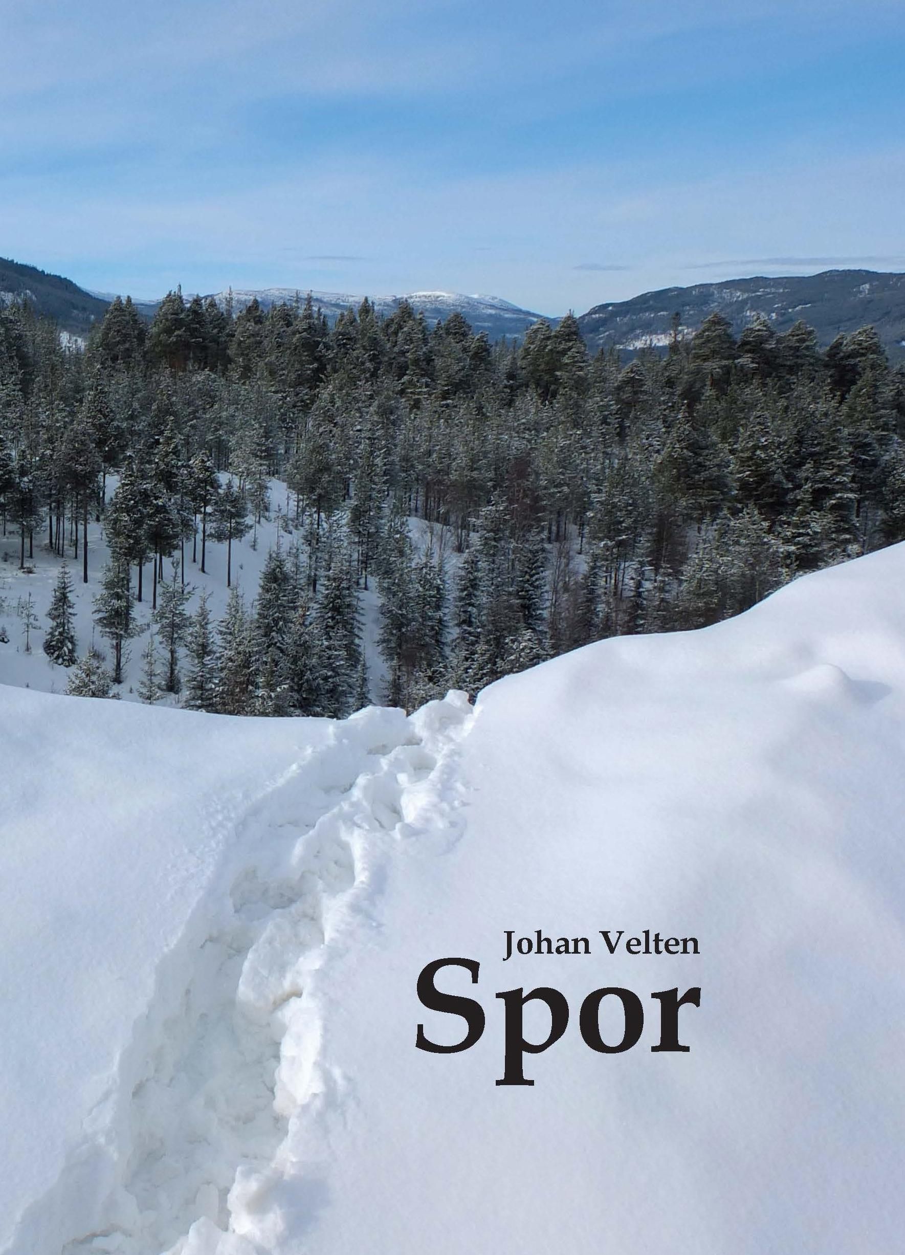 Forsidebilde av Spor