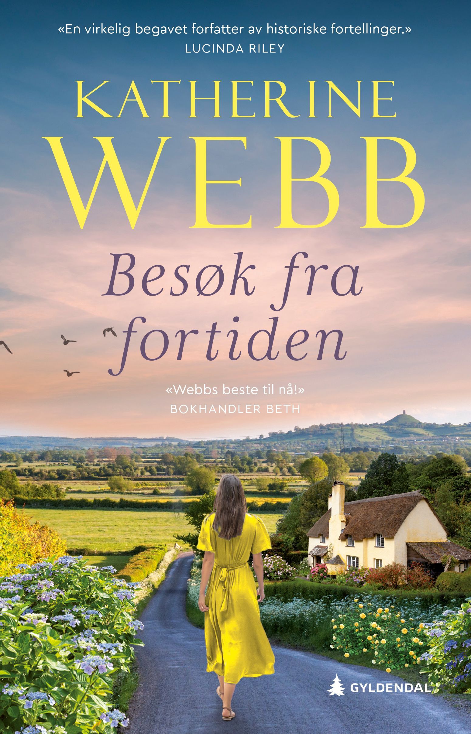 Besøk fra fortiden : roman