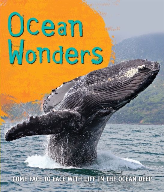 Forsidebilde av Ocean wonders