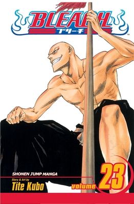 Bleach. vol. 23. ¡Mala suerte!