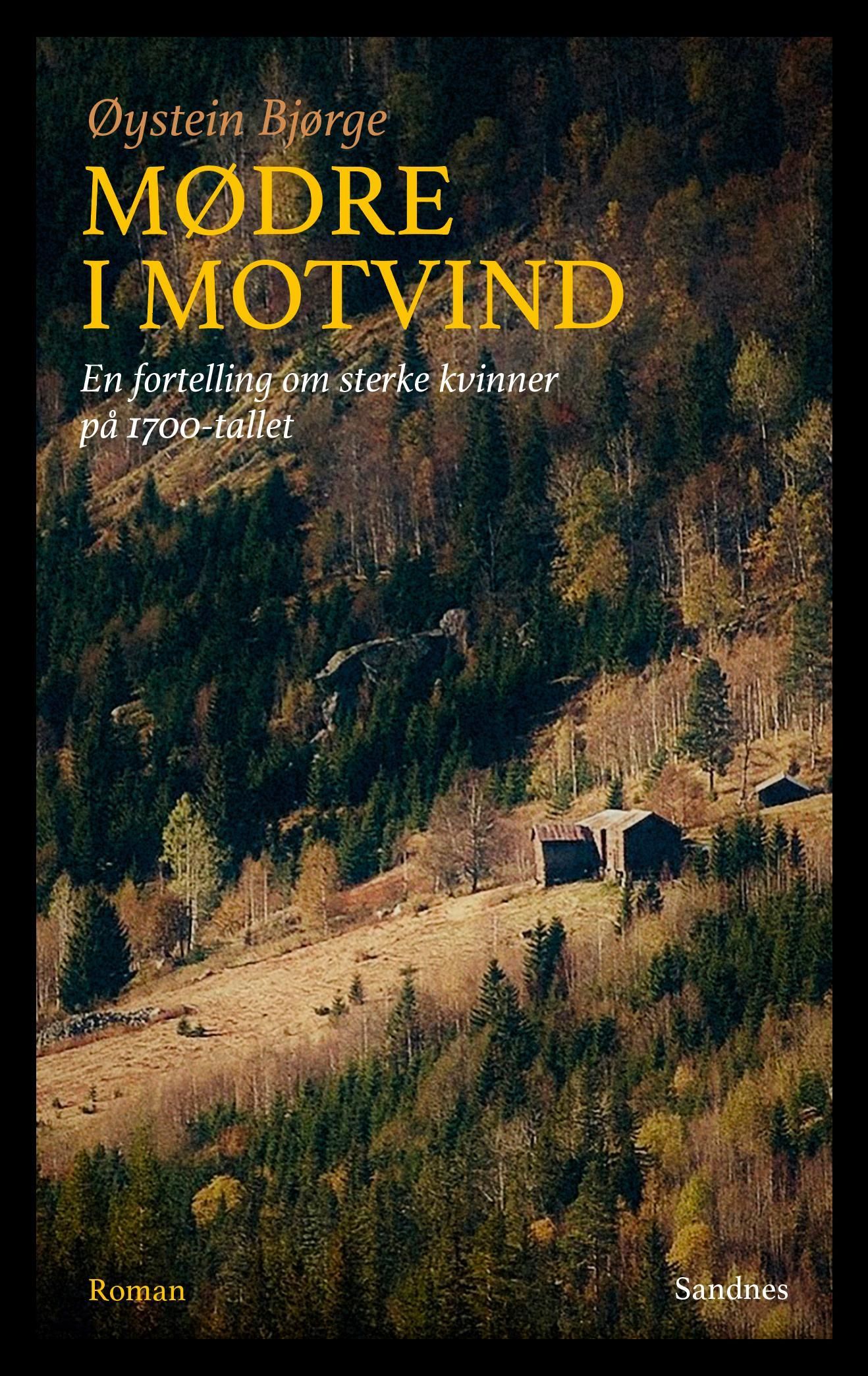Forsidebilde av Mødre i motvind : en fortelling om sterke kvinner på 1700-tallet : roman