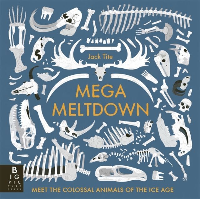 Forsidebilde av Mega Meltdown