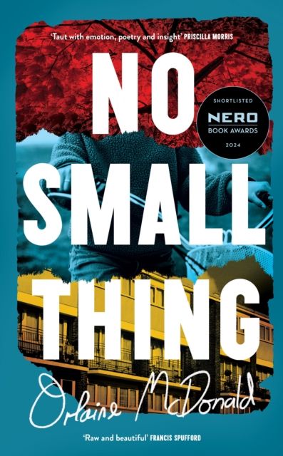 No Small Thing : 'One of the best debut novels I’ve read in recent years' Bernardine Evaristo