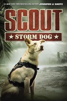 Storm dog