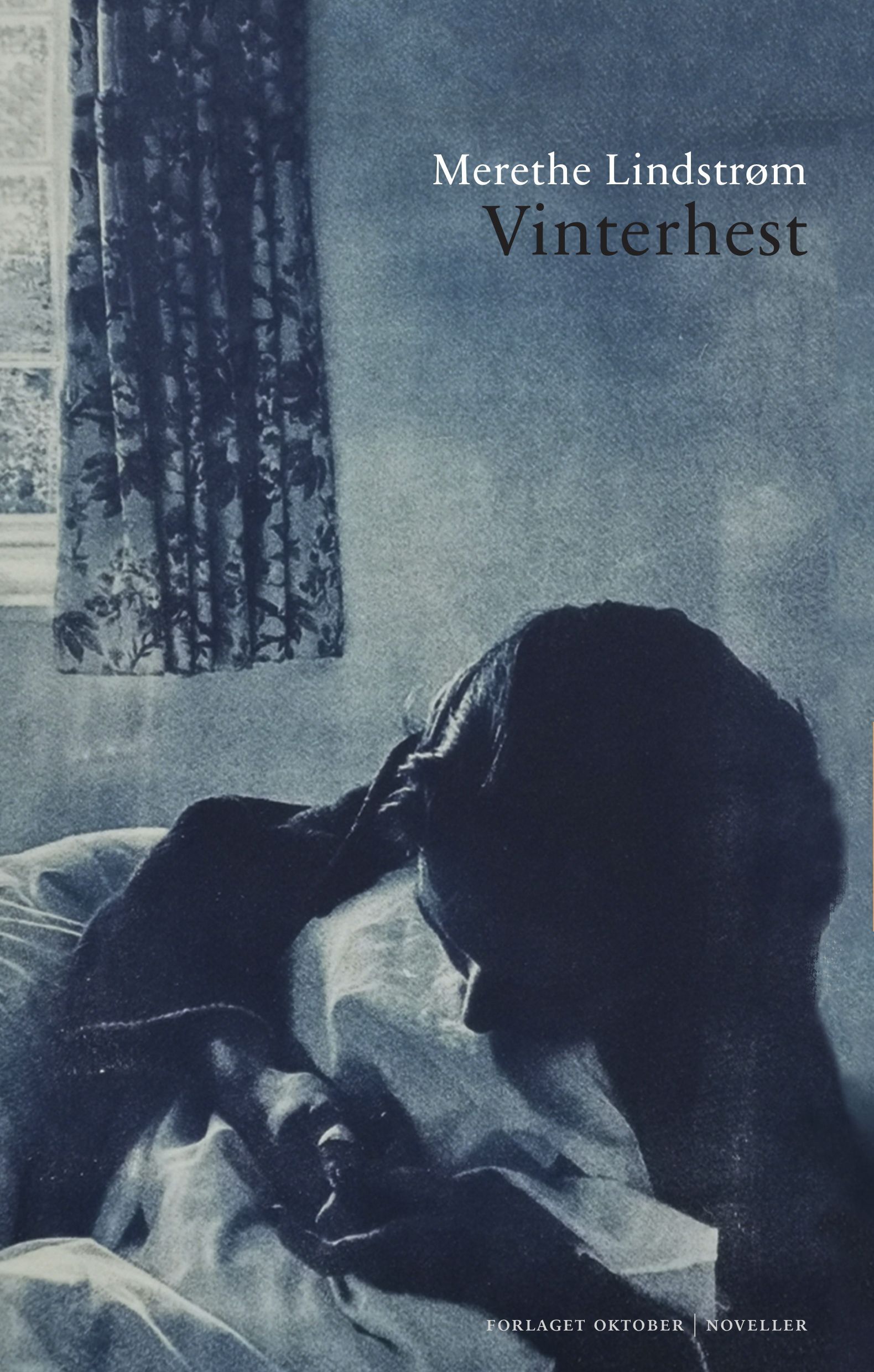 Vinterhest : noveller