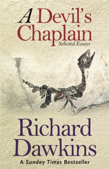 A devil's chaplain : selected essays