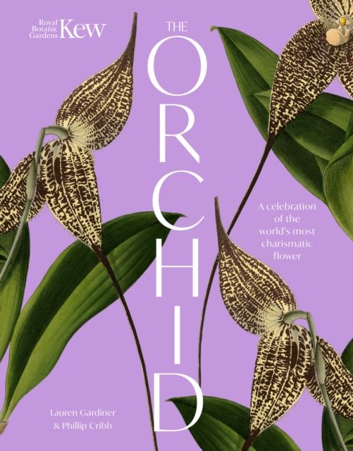The Orchid: Royal Botanic Gardens, Kew : A celebration of the world's most charismatic flower