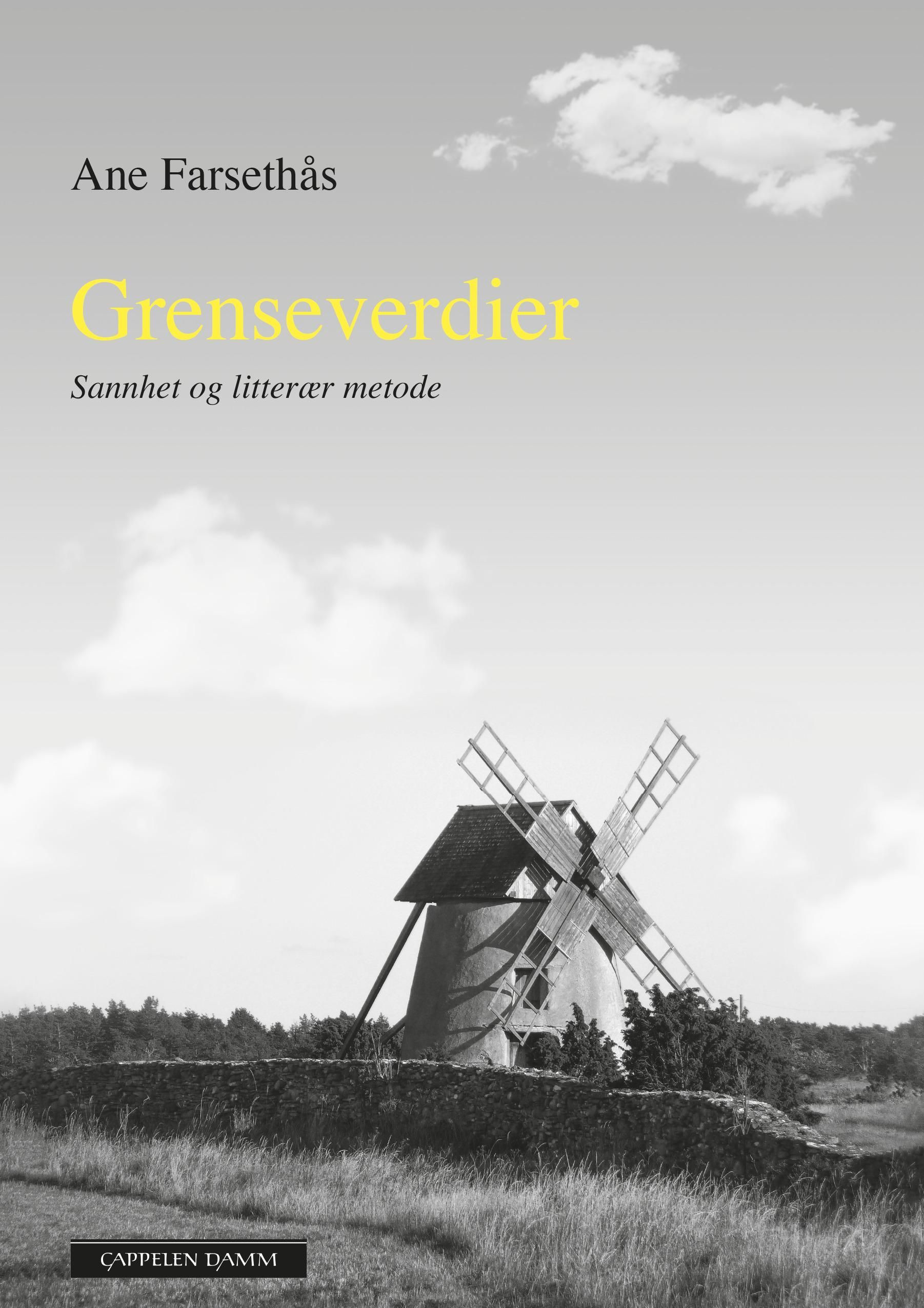 Grenseverdier : sannhet og litterær metode : ti intervjuer og et essay