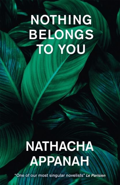 Forsidebilde av Nothing Belongs to You