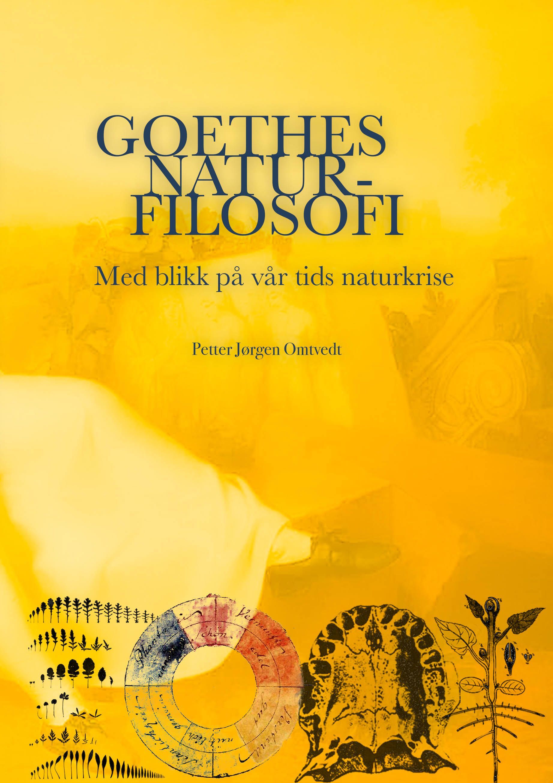 Goethes naturfilosofi : med blikk på vår tids naturkrise