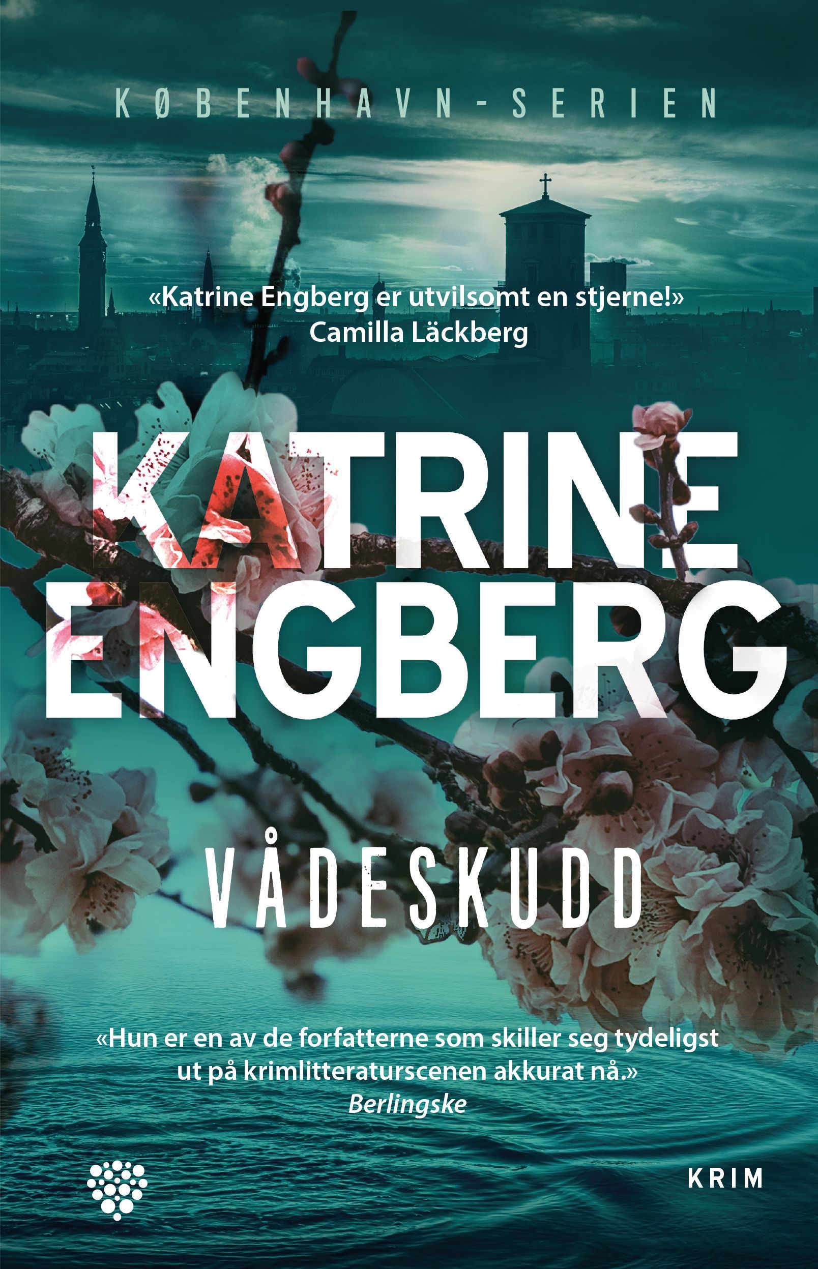 Vådeskudd : kriminalroman