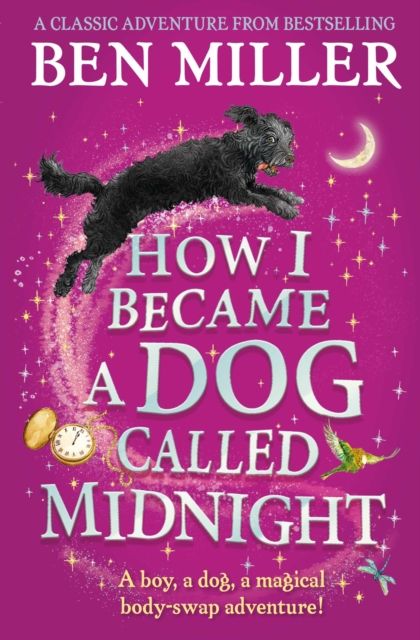 How I became a dog called Midnight