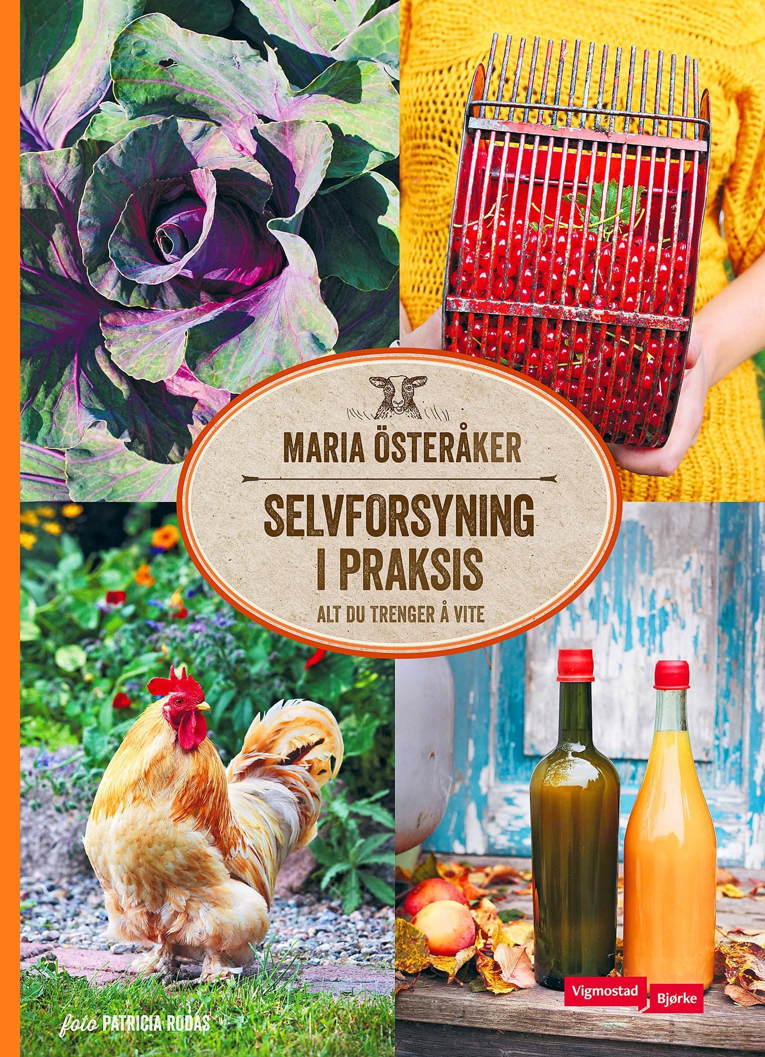 Selvforsyning i praksis : alt du trenger å vite