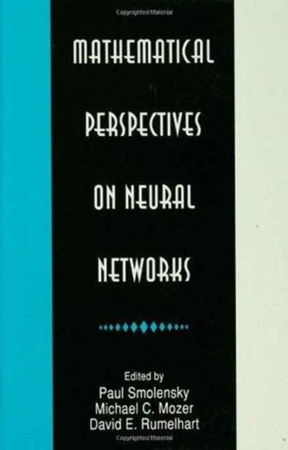 Mathematical Perspectives on Neural Networks