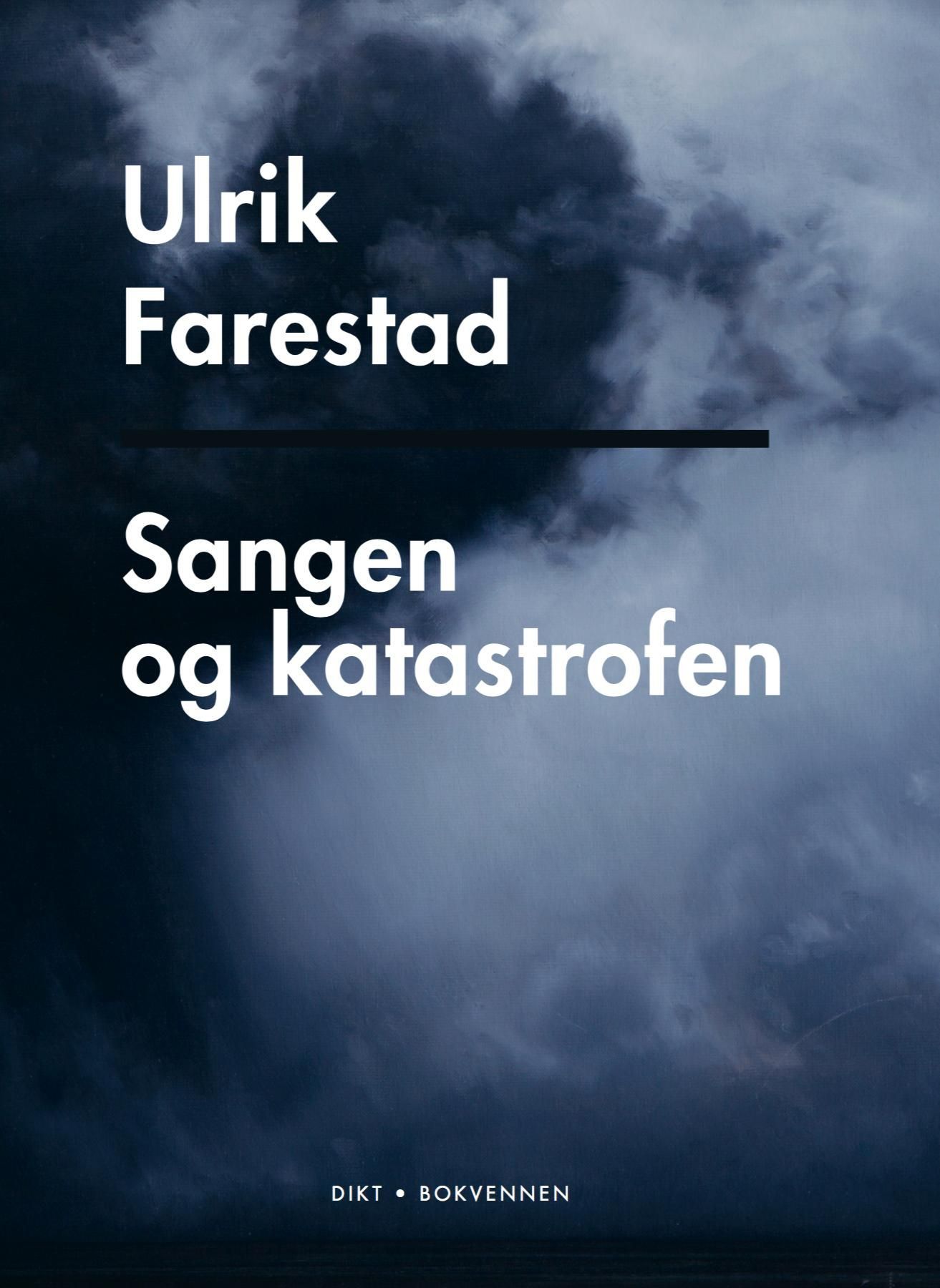Sangen og katastrofen : dikt