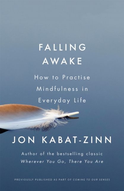 Falling Awake : How to Practice Mindfulness in Everyday Life