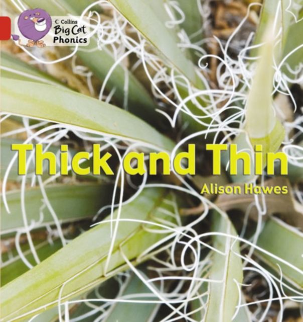 Thick and Thin : Band 02b/Red B