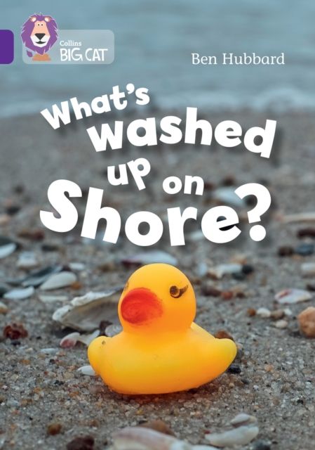 What's washed up on shore? : Band 08/Purple
