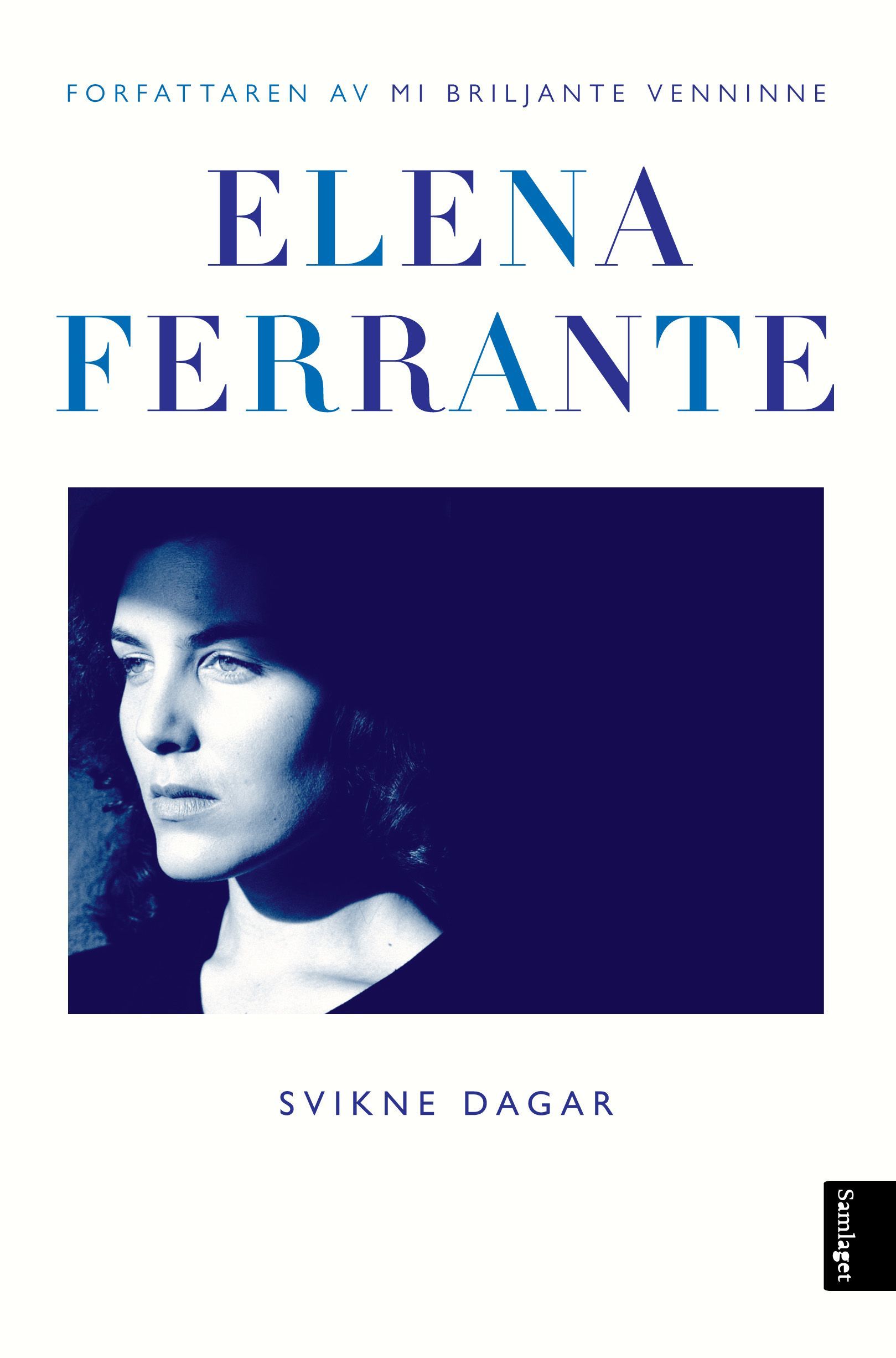 Svikne dagar : roman