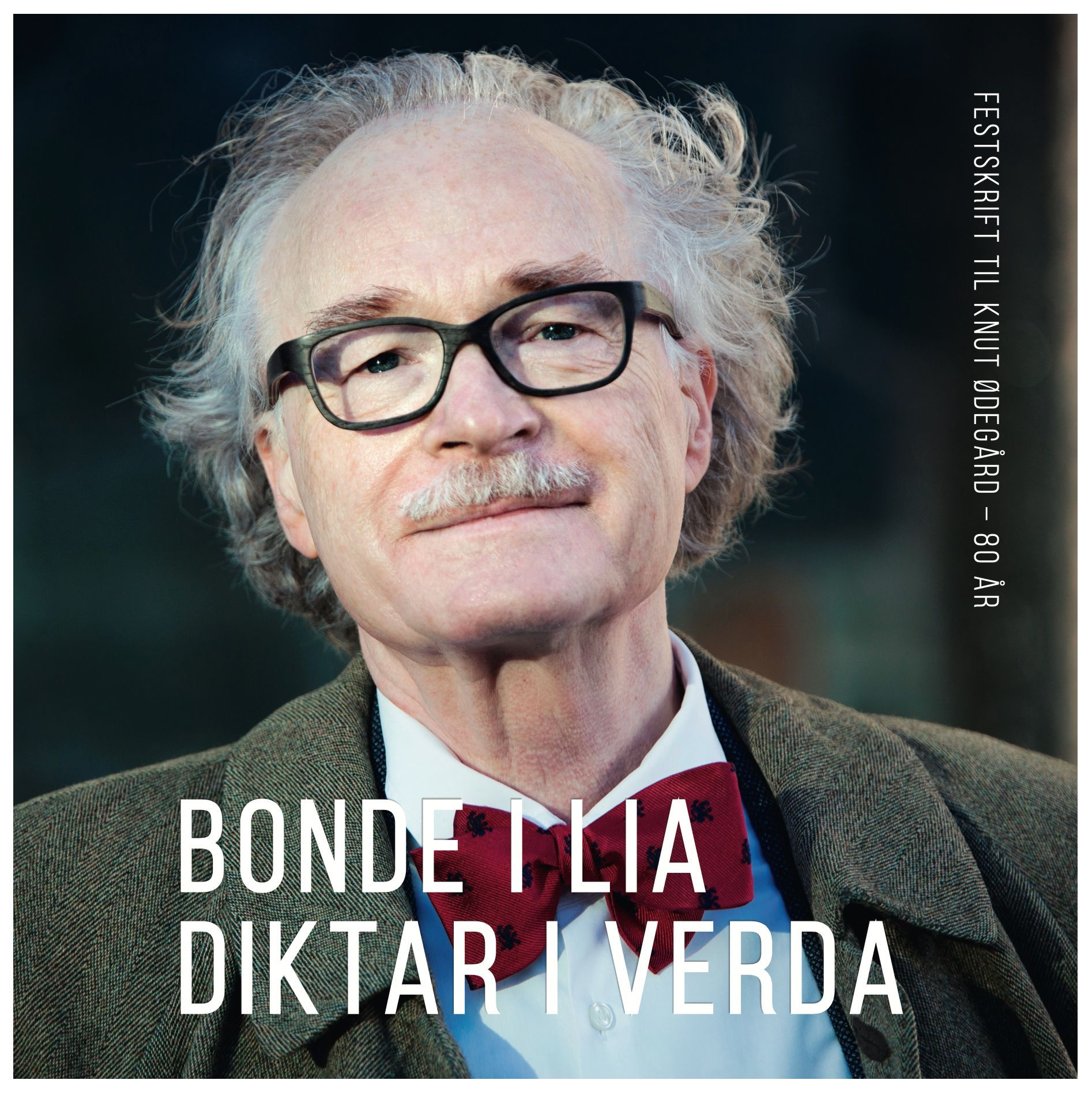 Forsidebilde av Bonde i Lia - diktar i verda : festskrift til Knut Ødegård - 80 år