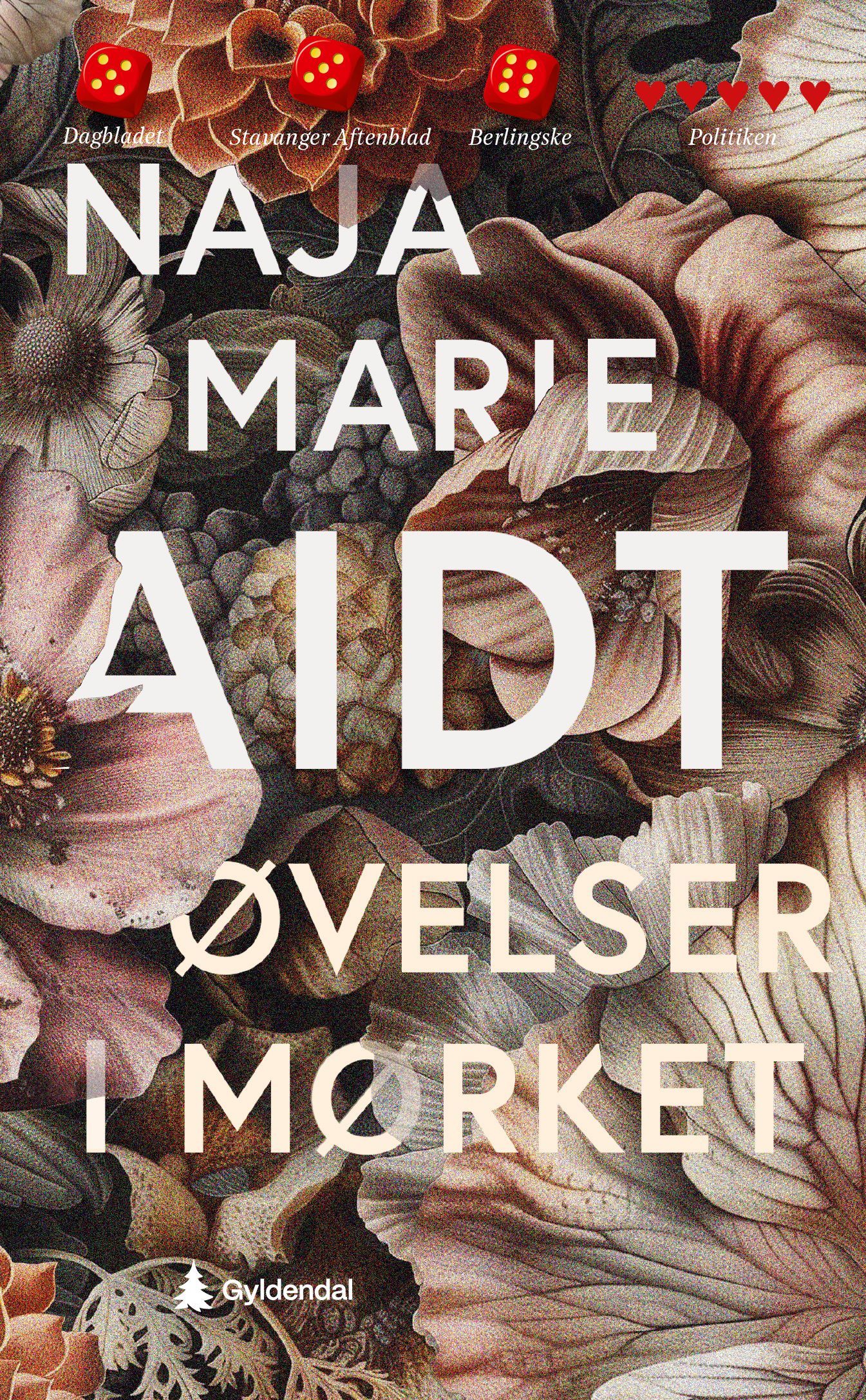 Øvelser i mørket : roman
