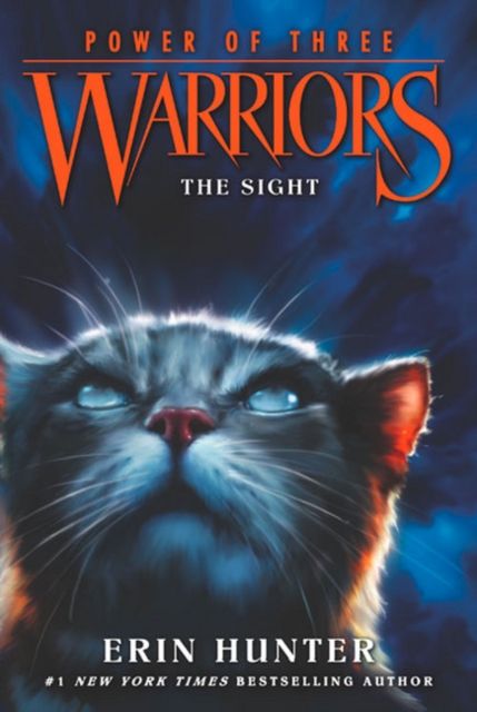 The sight