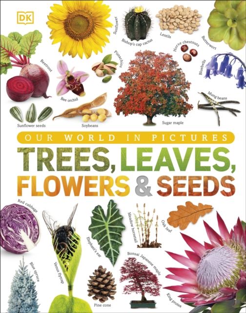 Trees, leaves, flowers & seeds : a visual encyclopedia of the plant kingdom