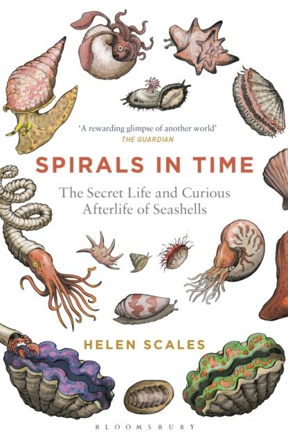 Spirals in Time : The Secret Life and Curious Afterlife of Seashells