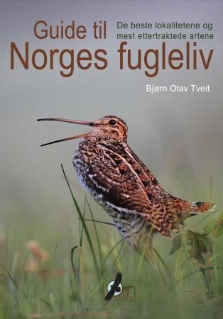 Guide til Norges fugleliv : de beste lokalitetene og mest ettertraktede artene